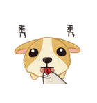 Corgi 007（個別スタンプ：35）