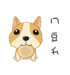 Corgi 007（個別スタンプ：38）