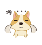 Corgi 007（個別スタンプ：39）