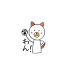 しらまるくん（個別スタンプ：36）