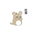 Roborovski hamster（個別スタンプ：8）