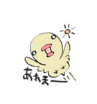 ぴよこさん。（個別スタンプ：19）