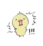 ぴよこさん。（個別スタンプ：34）