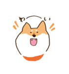 ガウガウ柴犬ケンちゃん（個別スタンプ：1）
