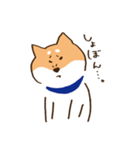 ガウガウ柴犬ケンちゃん（個別スタンプ：3）