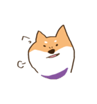 ガウガウ柴犬ケンちゃん（個別スタンプ：4）