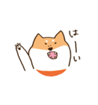 ガウガウ柴犬ケンちゃん（個別スタンプ：5）