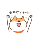 ガウガウ柴犬ケンちゃん（個別スタンプ：8）