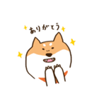 ガウガウ柴犬ケンちゃん（個別スタンプ：9）