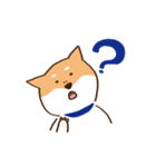 ガウガウ柴犬ケンちゃん（個別スタンプ：11）