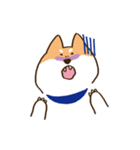 ガウガウ柴犬ケンちゃん（個別スタンプ：12）