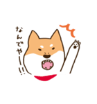 ガウガウ柴犬ケンちゃん（個別スタンプ：14）