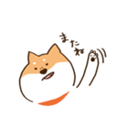 ガウガウ柴犬ケンちゃん（個別スタンプ：16）
