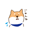ガウガウ柴犬ケンちゃん（個別スタンプ：21）
