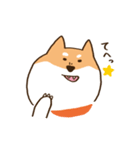 ガウガウ柴犬ケンちゃん（個別スタンプ：22）