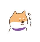 ガウガウ柴犬ケンちゃん（個別スタンプ：24）