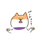 ガウガウ柴犬ケンちゃん（個別スタンプ：29）