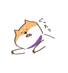 ガウガウ柴犬ケンちゃん（個別スタンプ：30）
