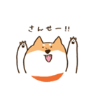 ガウガウ柴犬ケンちゃん（個別スタンプ：31）