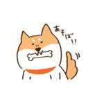 ガウガウ柴犬ケンちゃん（個別スタンプ：32）