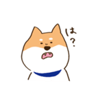 ガウガウ柴犬ケンちゃん（個別スタンプ：33）