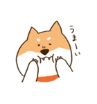 ガウガウ柴犬ケンちゃん（個別スタンプ：35）