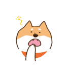 ガウガウ柴犬ケンちゃん（個別スタンプ：39）