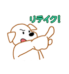 ラッキー君（業界編）（個別スタンプ：1）