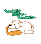 ラッキー君（業界編）（個別スタンプ：15）