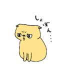 ぶちゃねこ（個別スタンプ：28）