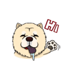 Chow Chow Polar Bear in Taiwan（個別スタンプ：1）