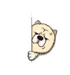 Chow Chow Polar Bear in Taiwan（個別スタンプ：3）