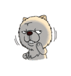 Chow Chow Polar Bear in Taiwan（個別スタンプ：12）