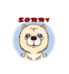 Chow Chow Polar Bear in Taiwan（個別スタンプ：13）