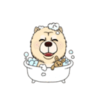 Chow Chow Polar Bear in Taiwan（個別スタンプ：16）
