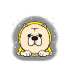 Chow Chow Polar Bear in Taiwan（個別スタンプ：21）