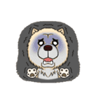 Chow Chow Polar Bear in Taiwan（個別スタンプ：22）