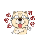 Chow Chow Polar Bear in Taiwan（個別スタンプ：24）