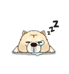 Chow Chow Polar Bear in Taiwan（個別スタンプ：30）