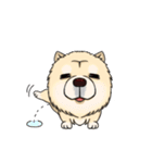 Chow Chow Polar Bear in Taiwan（個別スタンプ：31）