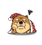 Chow Chow Polar Bear in Taiwan（個別スタンプ：38）