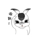 Crazy Rabbit M.M 2（個別スタンプ：16）