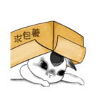 Crazy Rabbit M.M 2（個別スタンプ：29）