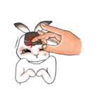 Crazy Rabbit M.M 2（個別スタンプ：30）
