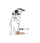 Crazy Rabbit M.M 2（個別スタンプ：40）