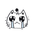 Chibii Cat ver.1 (Thailand)（個別スタンプ：22）