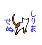 メガネかけたっぽいネコ2（個別スタンプ：8）