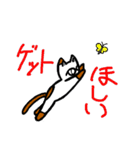 メガネかけたっぽいネコ2（個別スタンプ：16）