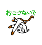メガネかけたっぽいネコ2（個別スタンプ：20）