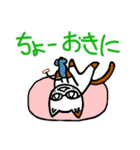 メガネかけたっぽいネコ2（個別スタンプ：40）